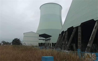 藻類對循環冷卻水系統的危害 藻類對循環冷卻水系統的危害